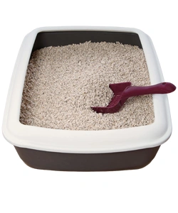 cat litter