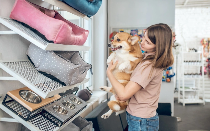 Pet shop pet owner choosing pet bed pet shop